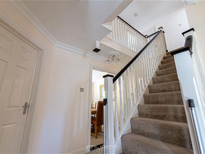 Picture 20